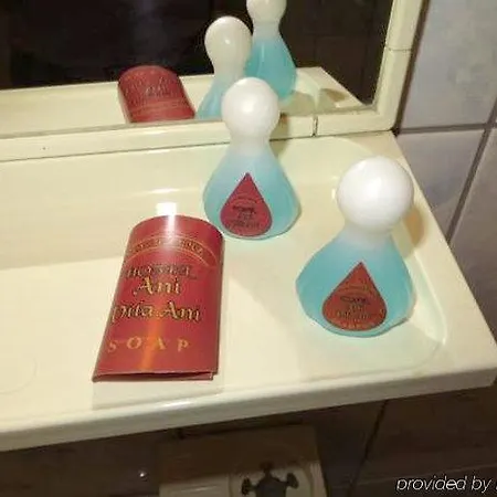 Готель Ani