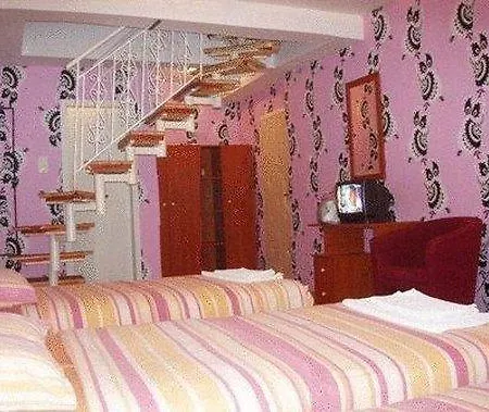 Ξενοδοχείο Ani