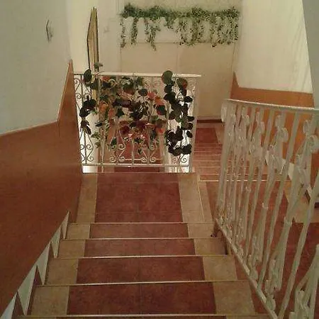 Ani Skopje